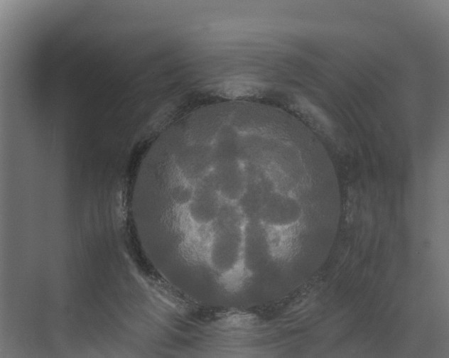 X0000072520210200607211432