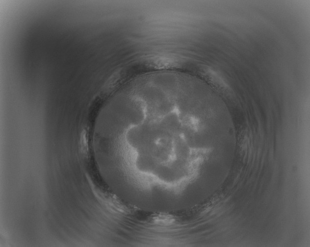 X0000072520214200607211432