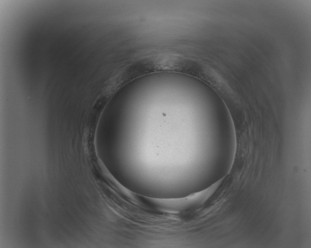 X0000072520217200607211432