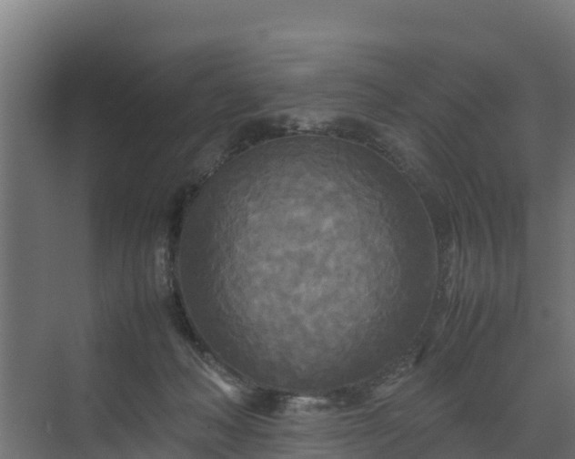 X0000072520222200607211432