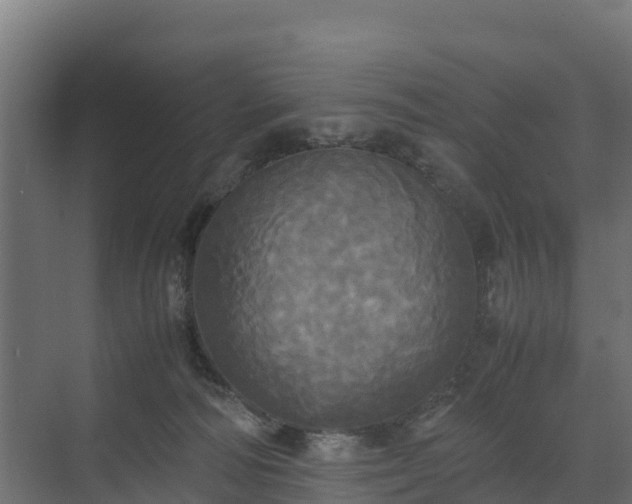 X0000072520226200607211432