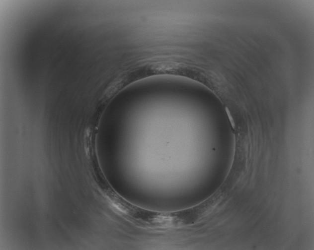 X0000072520227200607211432