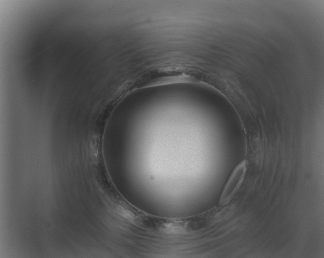 X0000072520232200607211431