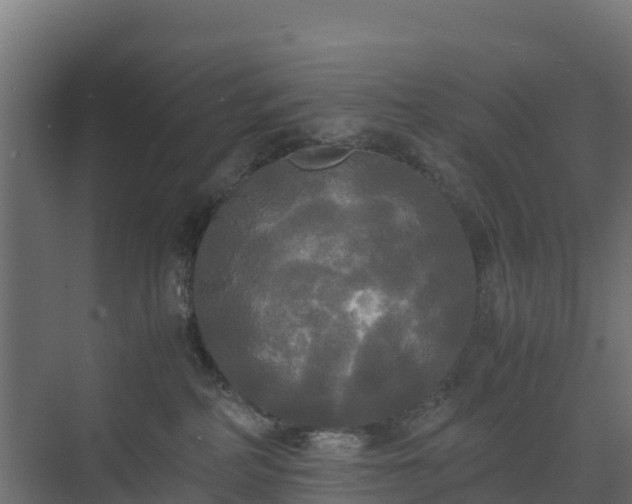 X0000072520234200607211431