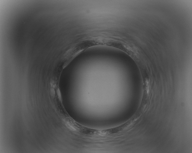 X0000072520235200607211431