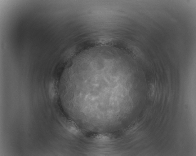 X0000072520236200607211431