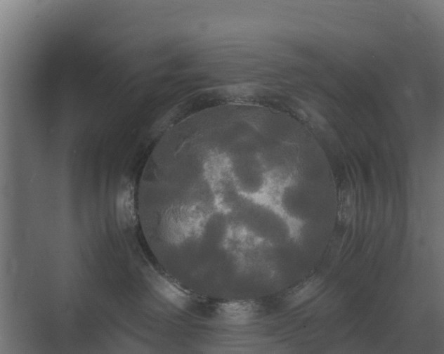 X0000072520238200607211431