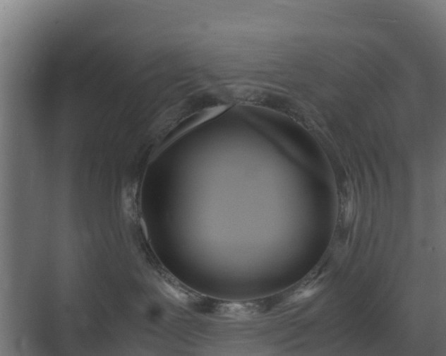 X0000072520239200607211431