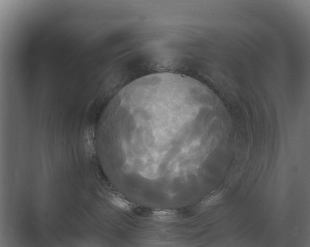 X0000072520240200607211431