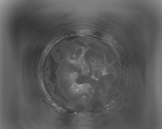 X0000072520241200607211430