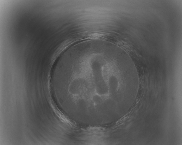 X0000072520242200607211430