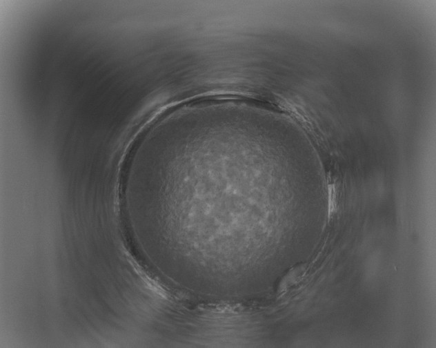 X0000072520243200607211431