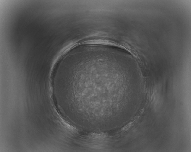 X0000072520245200607211431