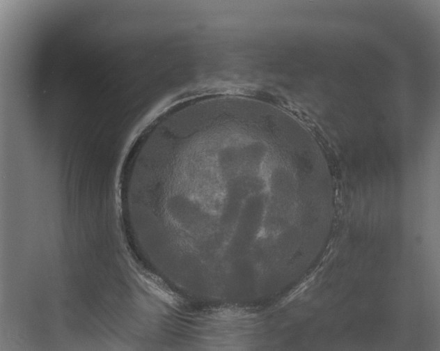 X0000072520246200607211431