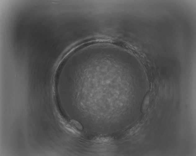 X0000072520247200607211431