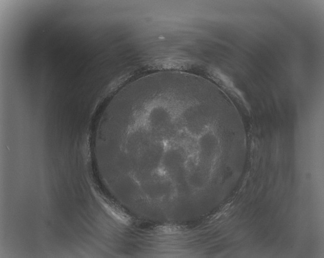 X0000072520250200607211431