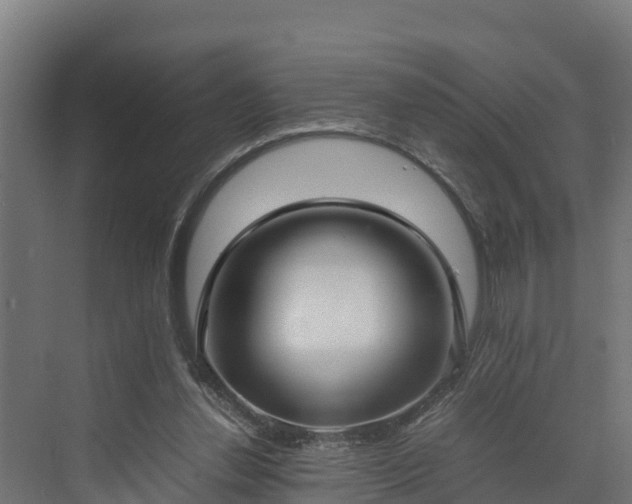 X0000072520252200607211431