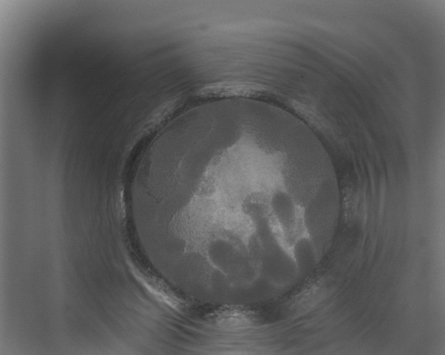 X0000072520254200607211431