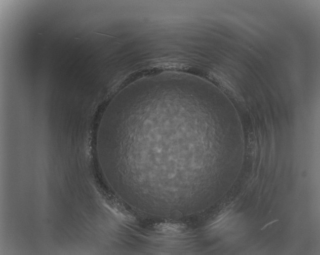 X0000072520255200607211431