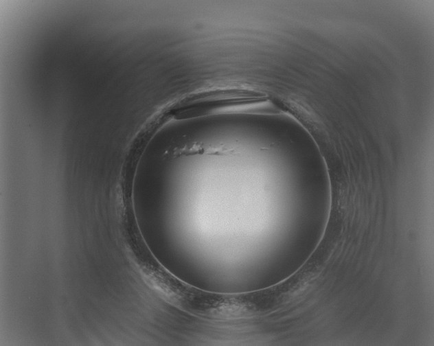 X0000072520256200607211431