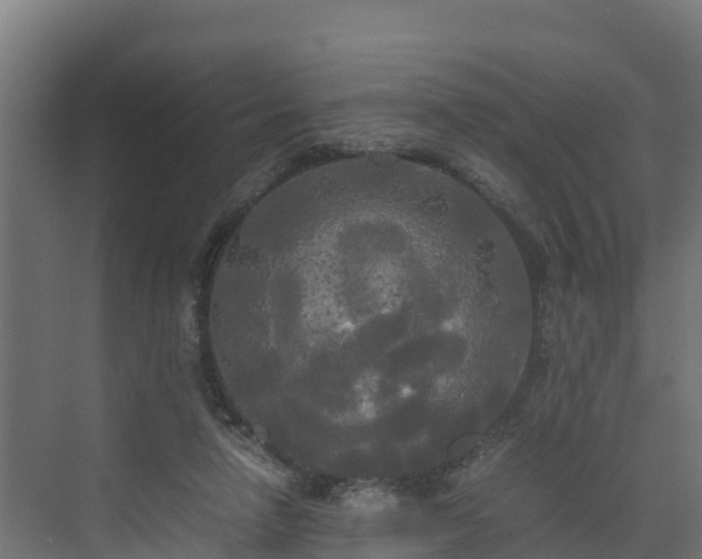 X0000072520258200607211431