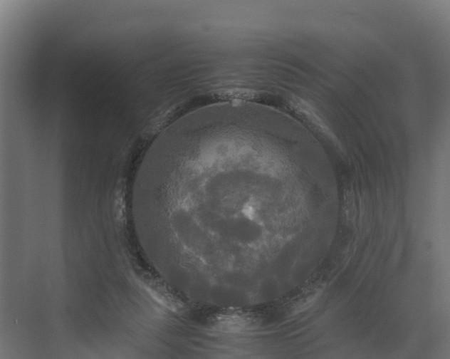 X0000072520259200607211431