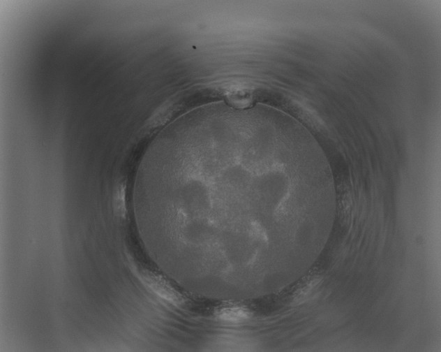 X0000072520262200607211431