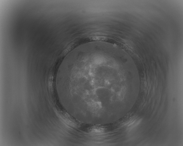 X0000072520263200607211431