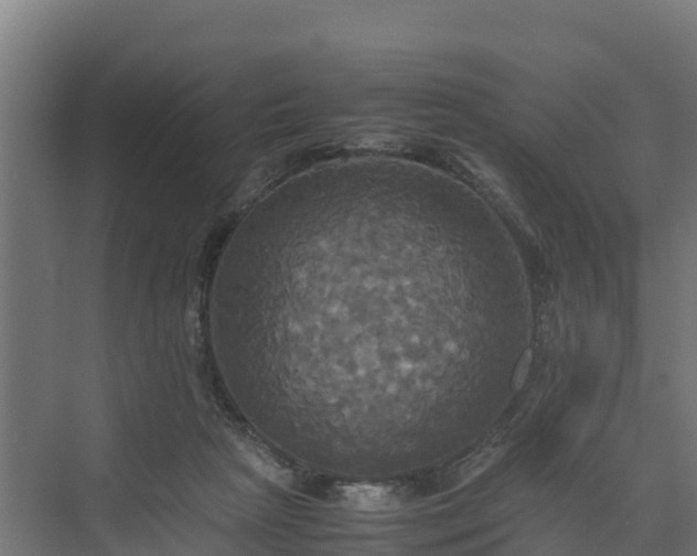 X0000072520265200607211431