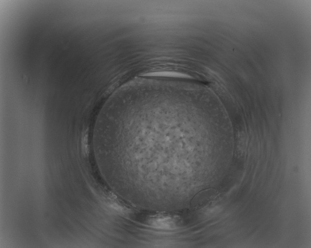 X0000072520267200607211431