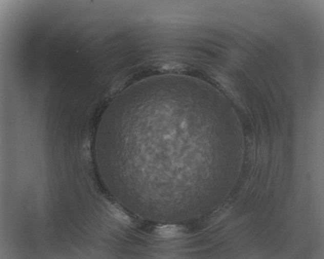 X0000072520269200607211431