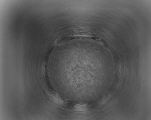 X0000072520271200607211431