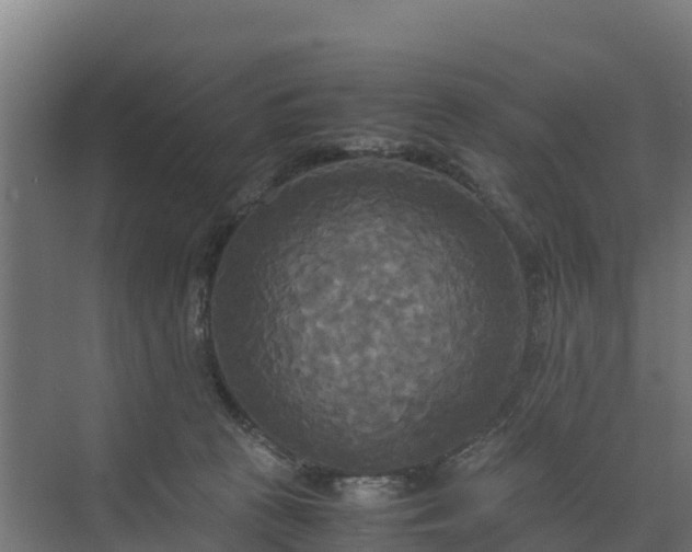 X0000072520273200607211431