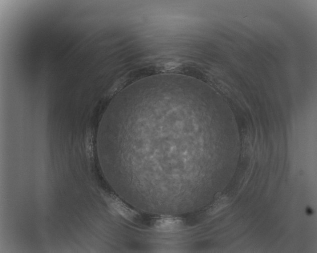 X0000072520274200607211431