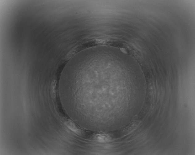 X0000072520275200607211431