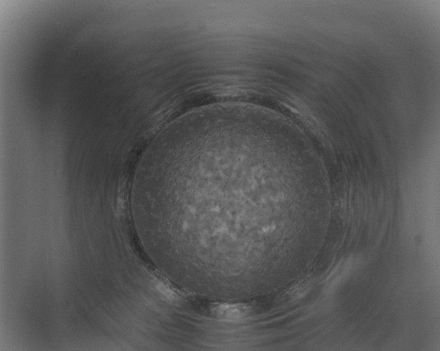 X0000072520277200607211431