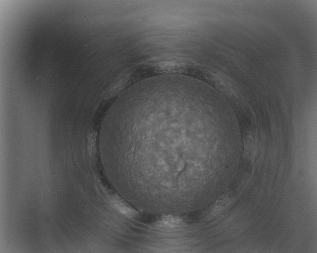 X0000072520278200607211431