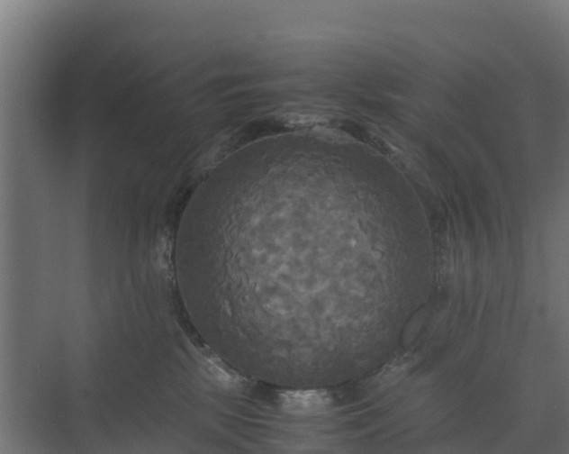 X0000072520281200607211431