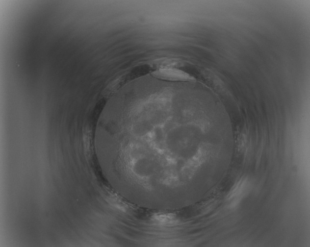 X0000072520283200607211431