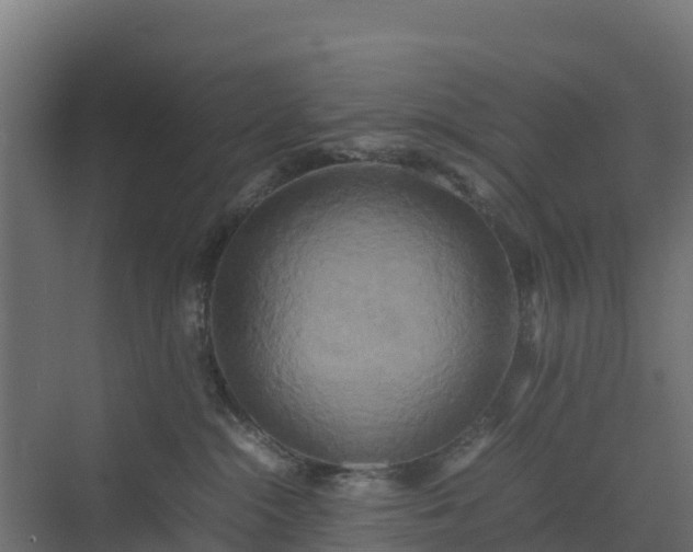 X0000072520284200607211431