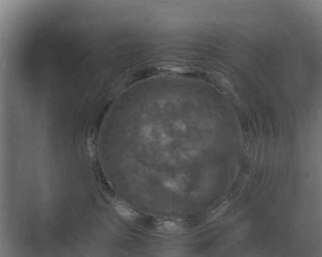 X0000072520285200607211431