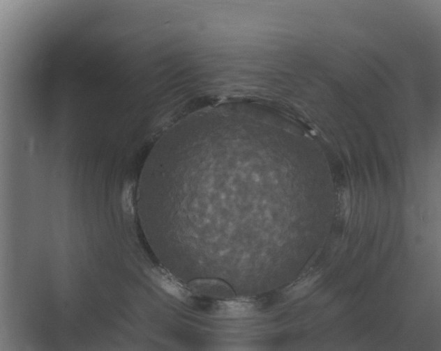 X0000072520286200607211431