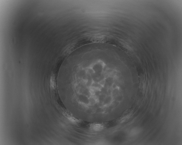 X0000072520287200607211431