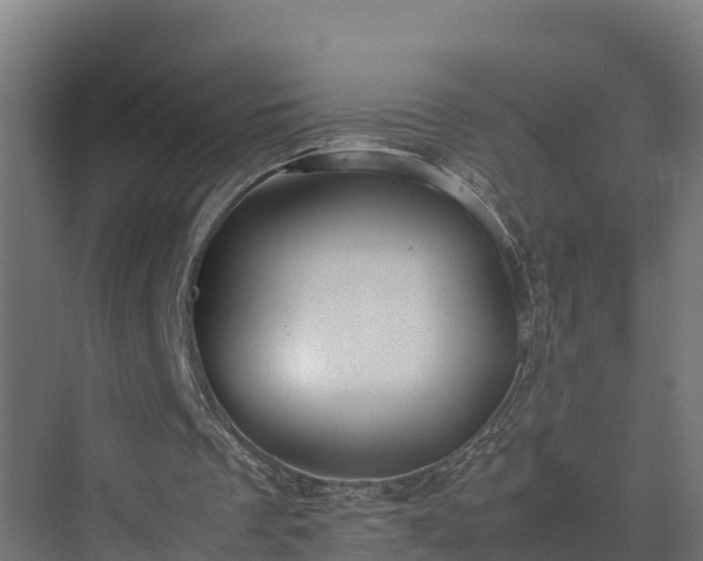 X0000072520289200607211430