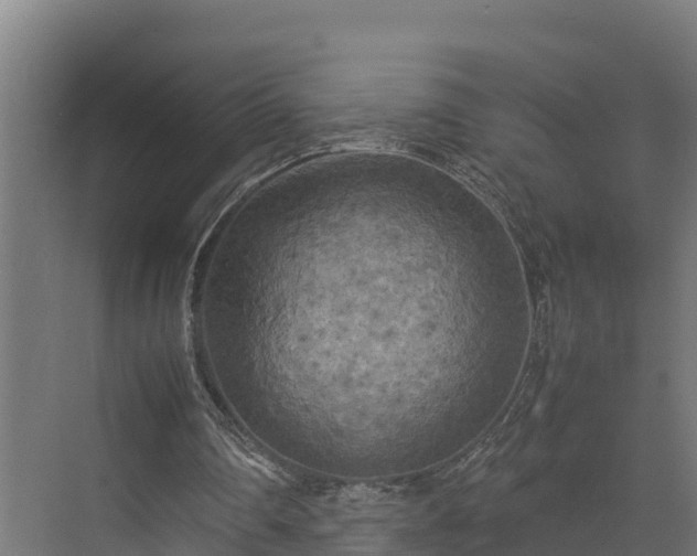 X0000072520290200607211430