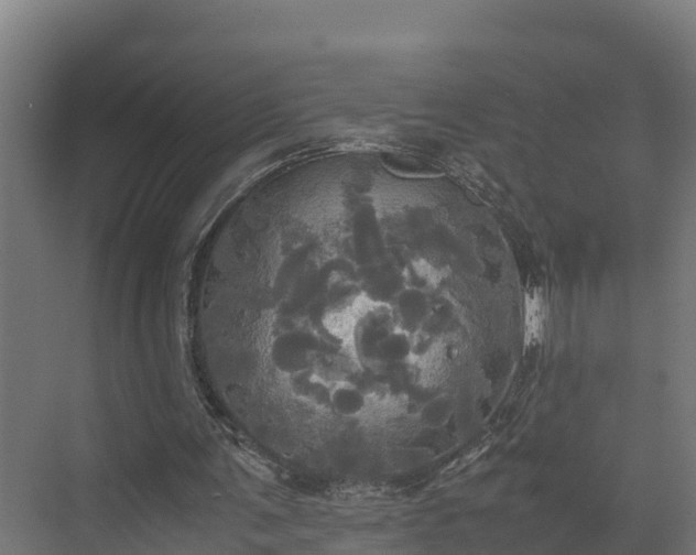 X0000072520291200607211430