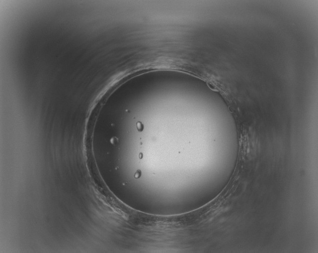 X0000072520292200607211430