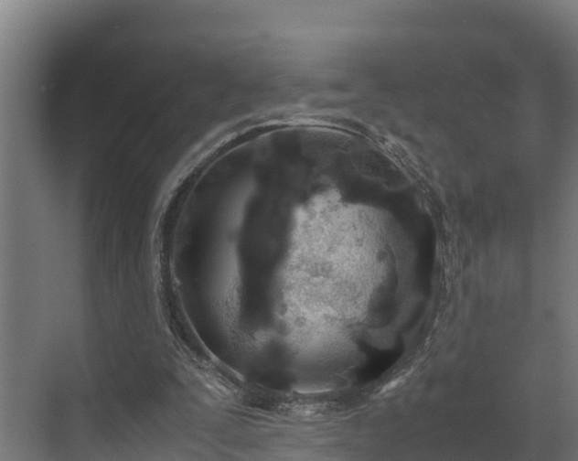 X0000072520295200607211430