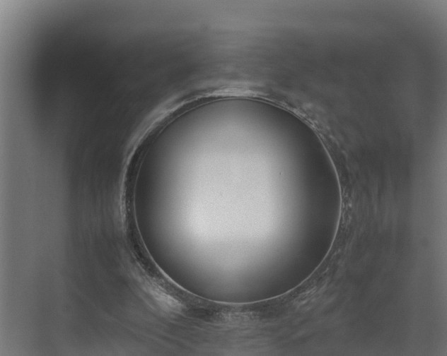 X0000072520296200607211430