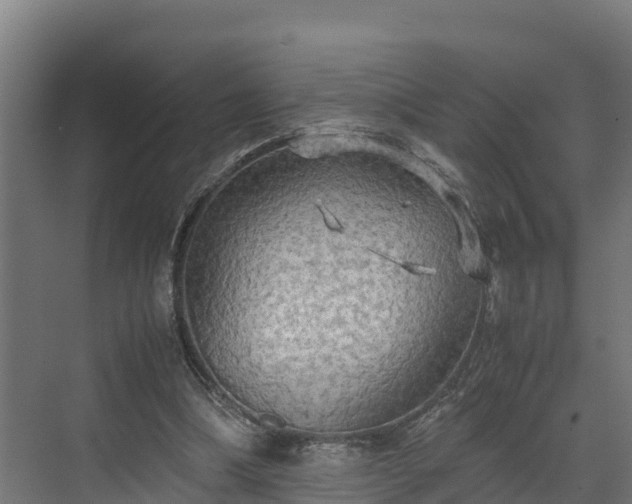 X0000072520298200607211430